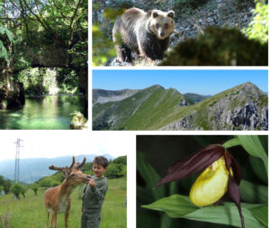 Scenery ciociaria 3