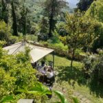Villa felici 6