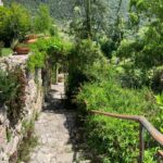 Villa felici 8
